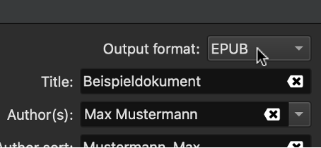 Auswahl Ausgabeformat, hier EPUB
