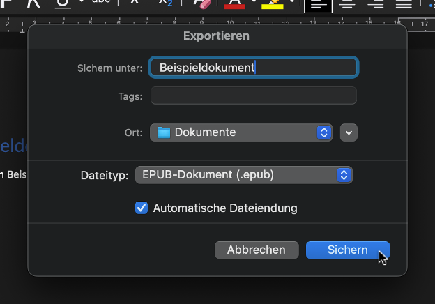 Speicherndialog zur EPUB-Datei