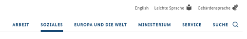 Beispiel: Oben über der Menü-Leiste stehen die Links English, Leichte Sprache und Gebärdensprache.